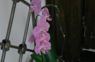 Il Melograno - Foto 37