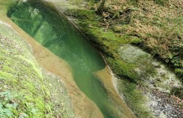 Ferienwohnung NEST - Foto 25