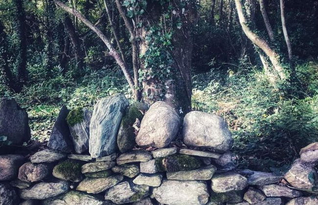 Lligwy House - Charming 3-bed House in Holyhead - Photo 18