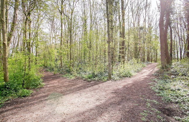 Bungalow in Noordwijk Near Beaches - Foto 40