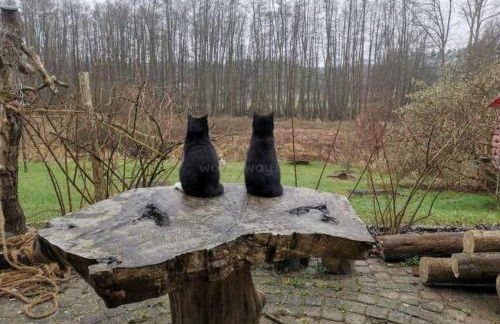 Ferienwohnung Am Neetzetal - Foto 14