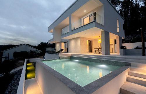 My seagull - Photo 69