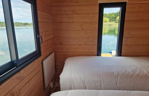 Bateau panoramique sans permis Lac du Der - Nemours - Foto 6