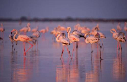 El Rincón de los Atardeceres - Foto 17