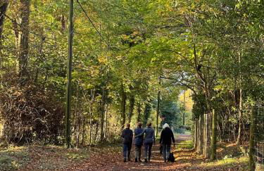 Chiltern Studio - Foto 25