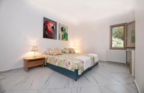 Tutti Fruti - Foto 6