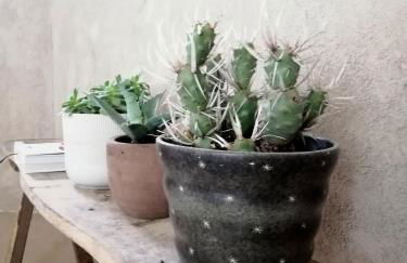 ROSTAGNI 1834 apt with pool in the Barolo region - Foto 20