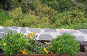 Casa Nieves de Mario - Foto 49