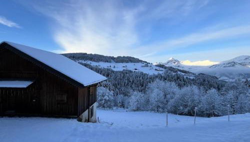 Résidence La Ferme Des Frasses - Mazot de charme MAE-3421 - Foto 5