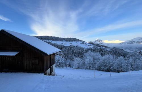 Résidence La Ferme Des Frasses - Mazot de charme MAE-3421 - Foto 5