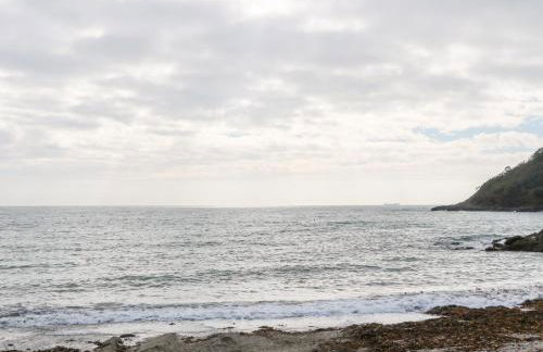 Toadstools - Foto 21