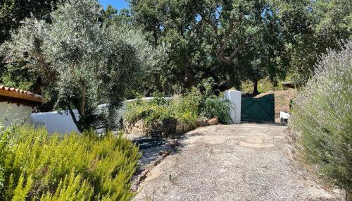 Casa Pollard - Foto 2, Garden, Garden view