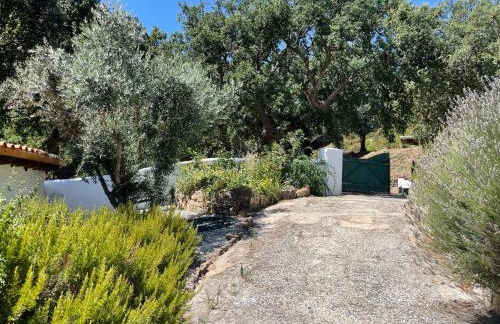 Casa Pollard - Foto 2