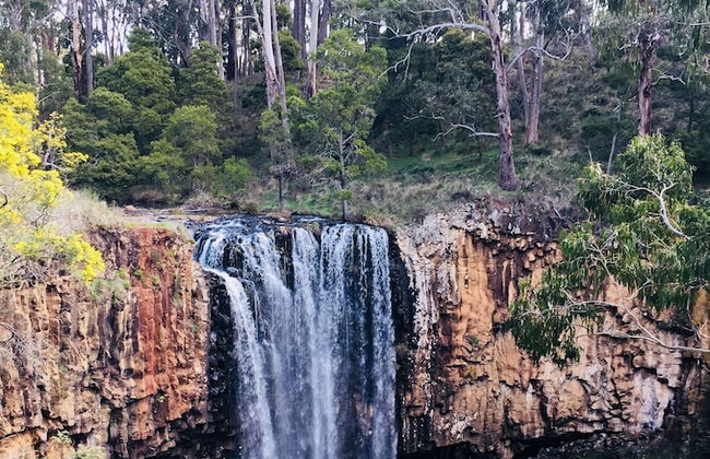 Sutton Spring Art Retreats - Foto 51