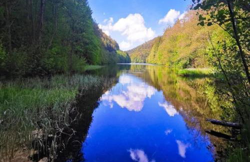 Small and Cozy Apartment in Frauenwald near Forest - Foto 76