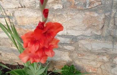 Apartment Rosemary - Photo 17