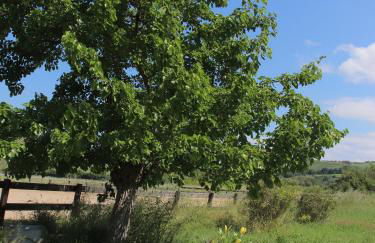 Le Dame Country House, Marche - Foto 21