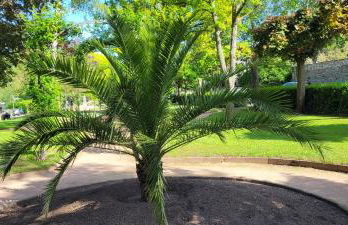 Ferienwohnung mit großer Terrasse - Foto 27
