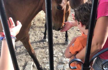 Casa Rural Monterrey Aroche - Foto 30