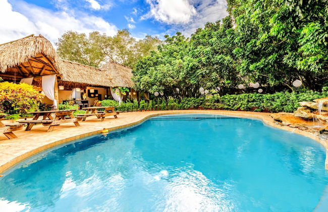 The Wonderkoi House A Magical Japanese Koi Garden - Foto 20