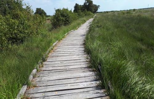 Komfort 4 Sterne Wohnung " Flut " für 4 Erw Kleinkind in Ostfriesland - Photo 28