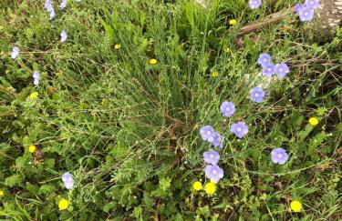 Condrieu et parking voiture vélo 2 ème étage - Foto 74