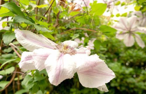 Lovely property in the heart of Somerset - Foto 41