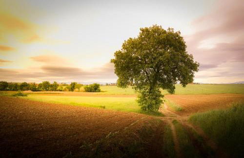 Vacanze Sant Andrea - Foto 79