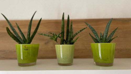 Wohlfühlwohnung in Gummersbach - Foto 4