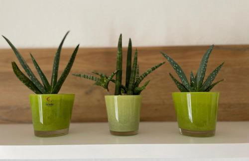 Wohlfühlwohnung in Gummersbach - Foto 4