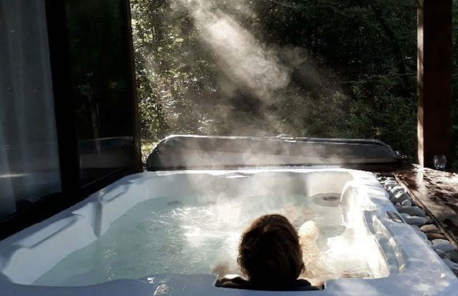 Les Landines - Foto 27