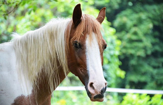 Agriturismo LA.TI.MI.DA. - Foto 11