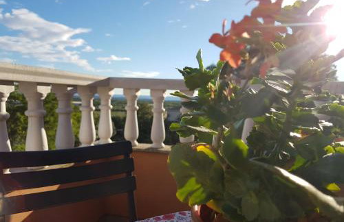 Apartman Andela - Foto 13