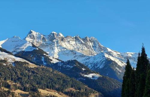 Les Vues de Lily - Châtel - Foto 21