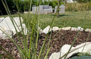 Ferienhaus Kleine Auszeit - Foto 42