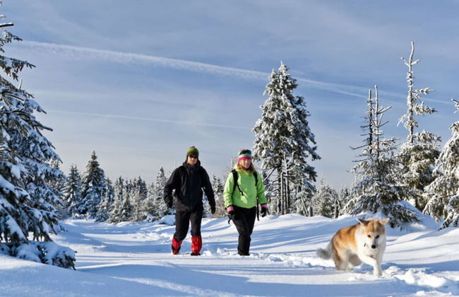 Mountain Apartment in Bad Kotzting - Foto 10