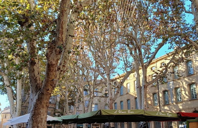 Finsonius Studios - Foto 49