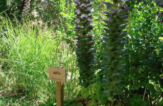 Terra di Ea - Foto 60