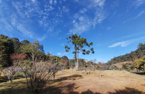 Recanto da Natureza- Chalé - Foto 49