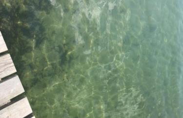 Domek na górce - Foto 6