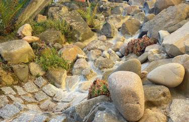 Ferienwohnung Gaßmann - Foto 11