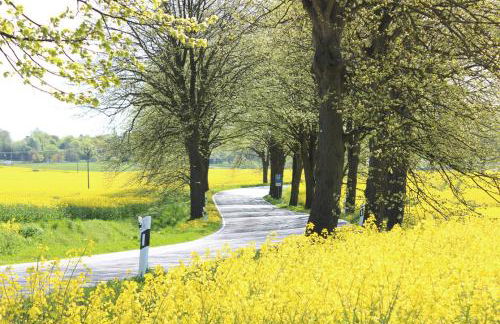 Herrenhaus Blengow App.03 - Foto 11