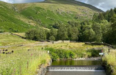 Stybeck Farm - Foto 50