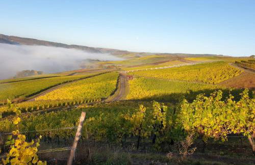 Weinhotel Stadtmühle beim Weingut Schauß - Foto 27