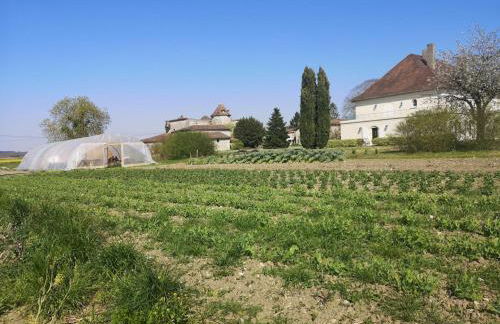 Magnifique villa de charme avec piscine - Foto 30
