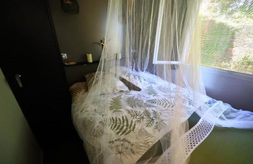 Chambre d'hôtes cosy Le Chalet -Tarn - Foto 3