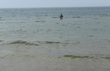 Corner House Plesna - Foto 28