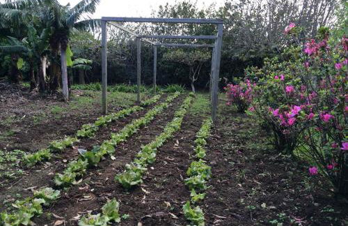 Quinta de Santa Clara - Photo 83