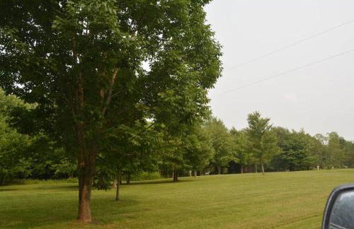 CHASIN' MEMORIES - Foto 58