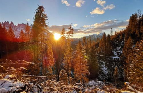 Casa Bagatin - Photo 53